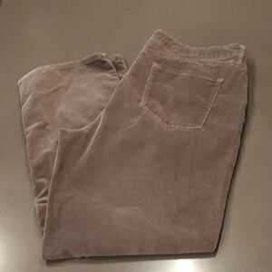 Bandolino Tan Corduroy Pants
